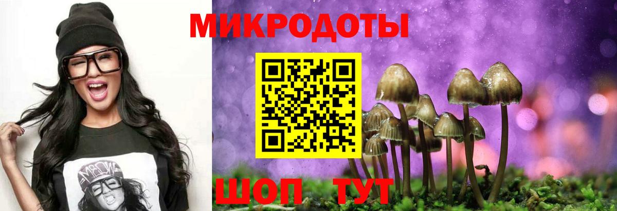 Псилоцибиновые грибы мухоморы Ялуторовск